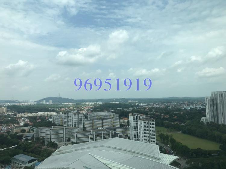 The Rochester Residences (D5), Apartment #161563082